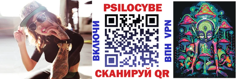 где продают   Михайловск  Псилоцибиновые грибы Cubensis 